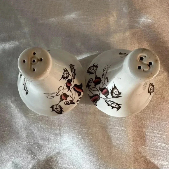 Vintage J And G Meakin Hampton Court Salt And Pepper Shaker - Picture 2 of 4